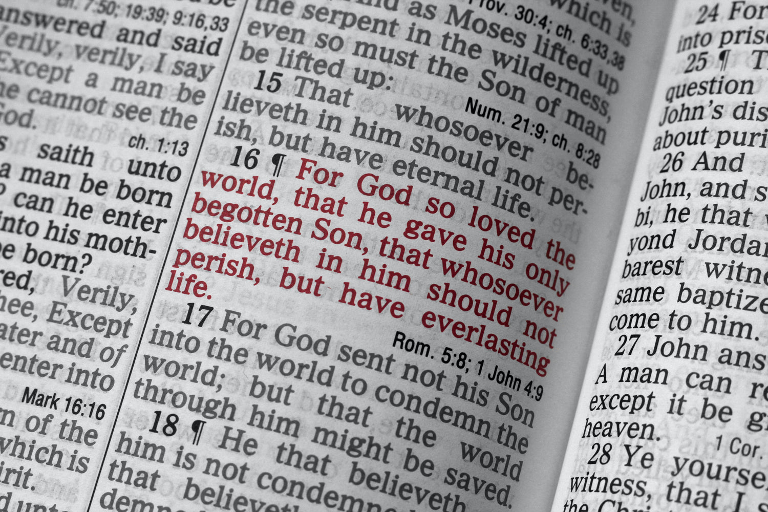 Bible verse of the week!